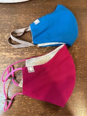 Figs Reusable Face Mask Pair